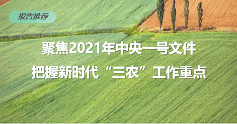 两会聚焦 | 聚焦2021年中央一号文件，把握新时代“三农”工作重点